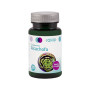 Artichaut 100 Comprimés 500Mg. Sakai