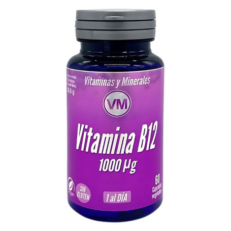 Vitamine B12 Nouvelle Formule 60 Gélules Végétales Ynsadiet