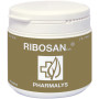 Ribosan 310 Gr Fharmocat