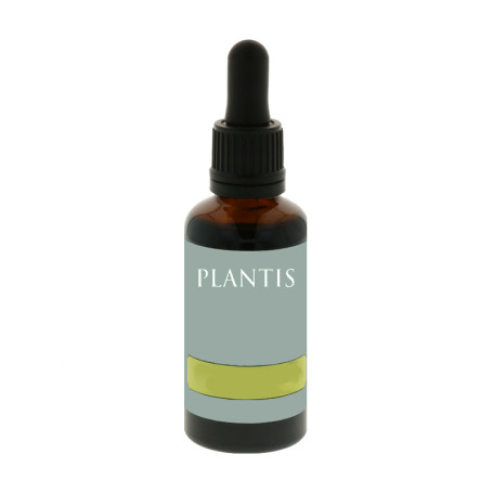 Extracto De Ginkgo Biloba 50Ml. Plantis