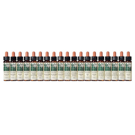Élixir floral 26 Heliantemo 10Ml. Plantis