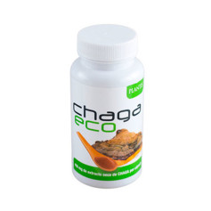 Chaga Eco 45 Gélules Plantis