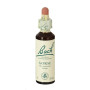 Fleurs d'Ajonc de Bach (Aulaga) 20Ml. Bach
