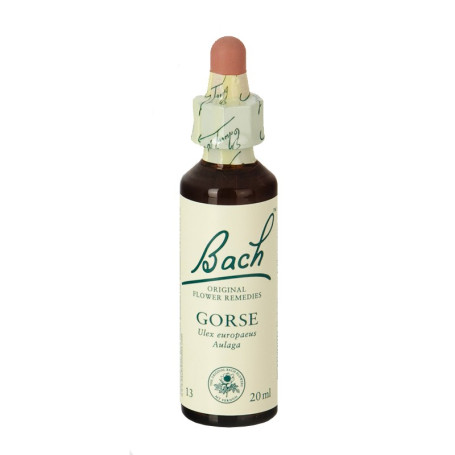 Fleurs d'Ajonc de Bach (Aulaga) 20Ml. Bach