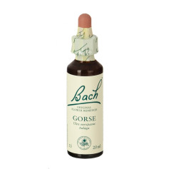 Fleurs d'Ajonc de Bach (Aulaga) 20Ml. Bach