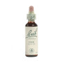 Fleurs de chêne de Bach (chêne) 20Ml. Bach
