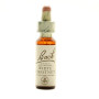 Fleurs de châtaignier blanc de Bach 20Ml. Bach