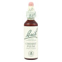 Fleurs de prunier cerisier de Bach (Cerasifera) 20Ml. Bach