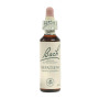 Fleurs de Bach Impatiens (Impatience) 20Ml. Bach