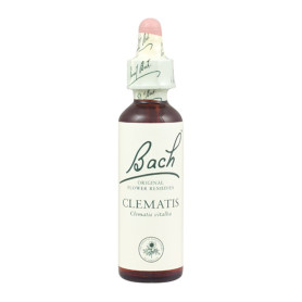 Fleurs de clématite de Bach (clématite) 20Ml. Bach