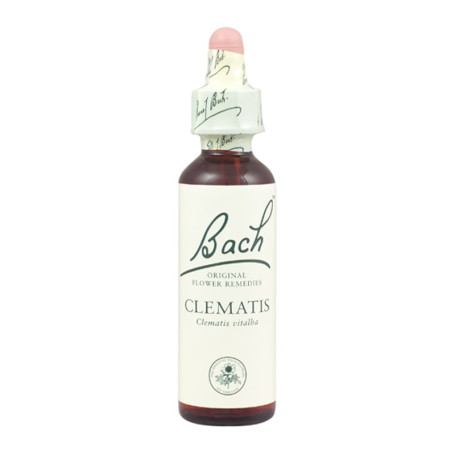 Fleurs de clématite de Bach (clématite) 20Ml. Bach