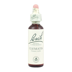 Fleurs de clématite de Bach (clématite) 20Ml. Bach