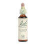 Fleurs de clématite de Bach (clématite) 20Ml. Bach