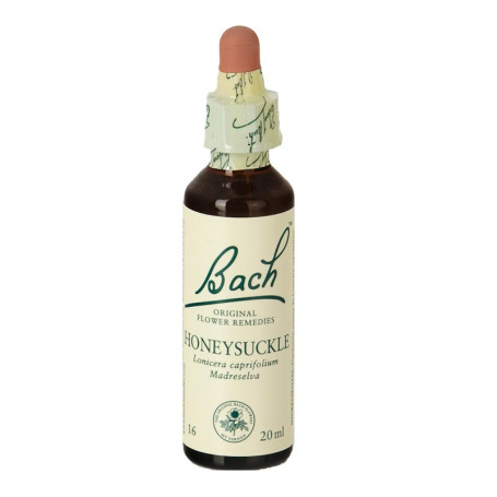 Fleurs de chèvrefeuille de Bach (chèvrefeuille) 20Ml. Bach