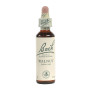 Fleurs de noyer de Bach 20Ml. Bach