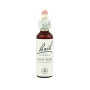 Flores de Bach Centaury (Centaura Menor) 20Ml. Bach