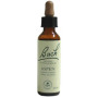 Fleurs de tremble de Bach (tremble tremblant) 20Ml. Bach