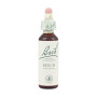 Fleurs de hêtre de Bach (hêtre) 20Ml. Bach