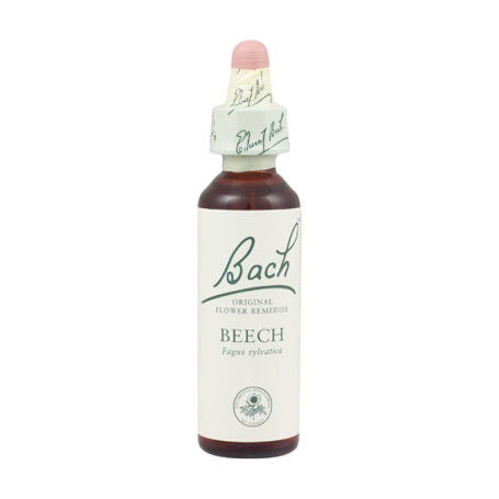 Fleurs de hêtre de Bach (hêtre) 20Ml. Bach
