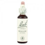 Fleurs de saule de Bach (saule) 20Ml. Bach