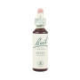 Fleurs d'Olivier Bach (Olive) 20Ml. Bach