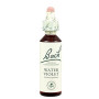Fleurs de violette d'eau de Bach (violettes) 20Ml. Bach