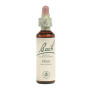 Flores de Bach Pine (Pino Silvestre) 20Ml. Bach