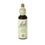 Flores de Bach Pine (Pino Silvestre) 20Ml. Bach