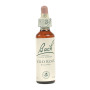 Flores de Bach Wild Rose (Rosa Silvestre) 20Ml. Bach