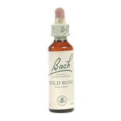 Flores de Bach Wild Rose (Rosa Silvestre) 20Ml. Bach