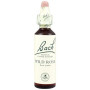 Flores de Bach Wild Rose (Rosa Silvestre) 20Ml. Bach