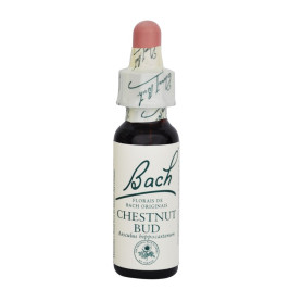 Fleurs de bourgeon de châtaignier de Bach (châtaigne) 20Ml. Bach