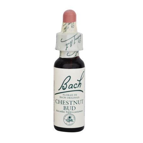 Fleurs de bourgeon de châtaignier de Bach (châtaigne) 20Ml. Bach