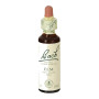 Fleurs d'orme de Bach (orme) 20Ml. Bach