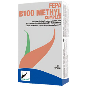 Complexe méthylique Fepa B100 40 gélules Fepadiet