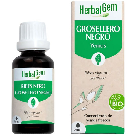 Extrait de cassis bio 30 ml Herbal Gem