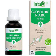 Extrait de cassis bio 30 ml Herbal Gem