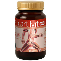 Cartilvit Max 60 gélules Vital 2000