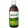 G7 Siliplant Silicium Bio-Dynamisé 500 ml