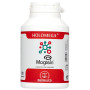 Holomega Magtein Magnésium L-Thréonate 90 gélules Equisalud