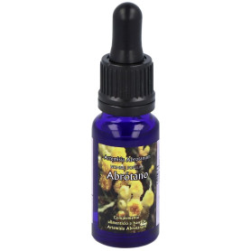 Essence légère Abrotano Triunity 15 ml Phytovit