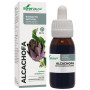Extrait d&#39;artichaut 50 ml Soria Natural