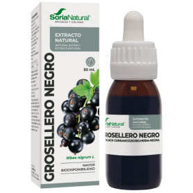 Extrait de cassis 50 ml Soria Natural