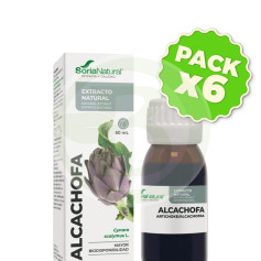 Pack de 6 extraits d&#39;artichaut 50 ml Soria Natural