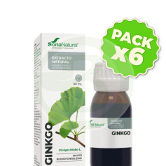 Lot 6x Extrait de Ginkgo 50Ml Soria Natural