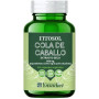 Fitosol Prêle 60 gélules Ynsadiet