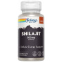 Super Shilajit 500Mg 60 Gélules Solaray