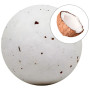 Bombe de bain moussante à la noix de coco avec pétales 140 g Sys