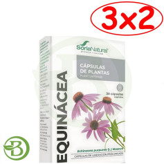 Pack 3x2 Échinacée 30 Gélules Soria Natural