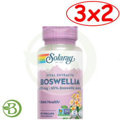 Solaray, paquet de 3 x 2, Boswellia 450 mg, 60 gélules végétales